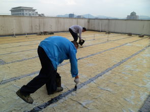 中山房屋補漏公司中山天面防水公司價格 中山房屋補漏公司中山天面防水公司型號規(guī)格