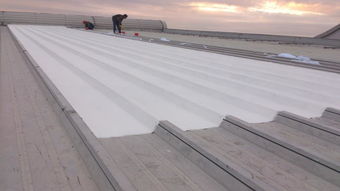 承接福建工廠廠房鋼結構金屬屋面防水補漏維修工程 圖