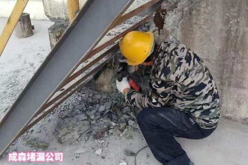 2021歡迎訪問 西安污水池堵漏本地公司 實(shí)業(yè)集團(tuán)